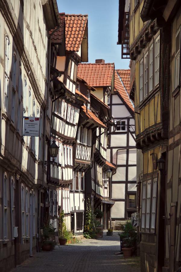 Апартаменты Froschkoenig Mit Teichblick Trendelburg Экстерьер фото