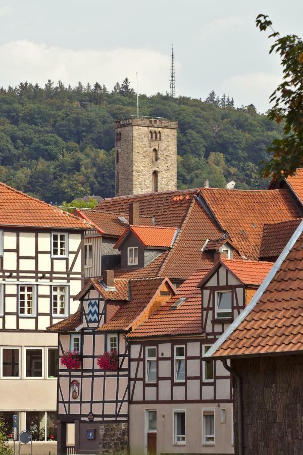 Апартаменты Froschkoenig Mit Teichblick Trendelburg Экстерьер фото